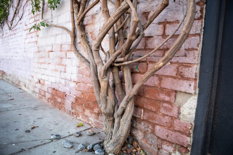 LA Art District-9001